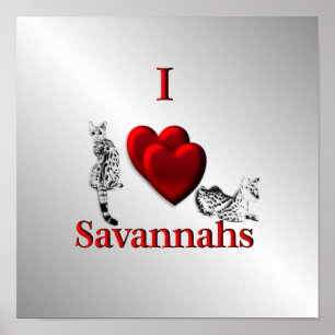 Poster I Heart Savannah Cat Silver