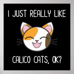 Poster I Just Really Like Calico Cats Ok? Cute Calico Cat