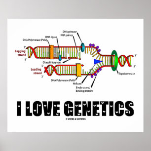 Pôster I Love Genetics (Replicação de DNA)