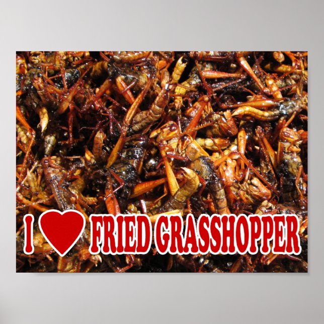 Pôster I Love (Heart Fried Grafopper) (Frente)