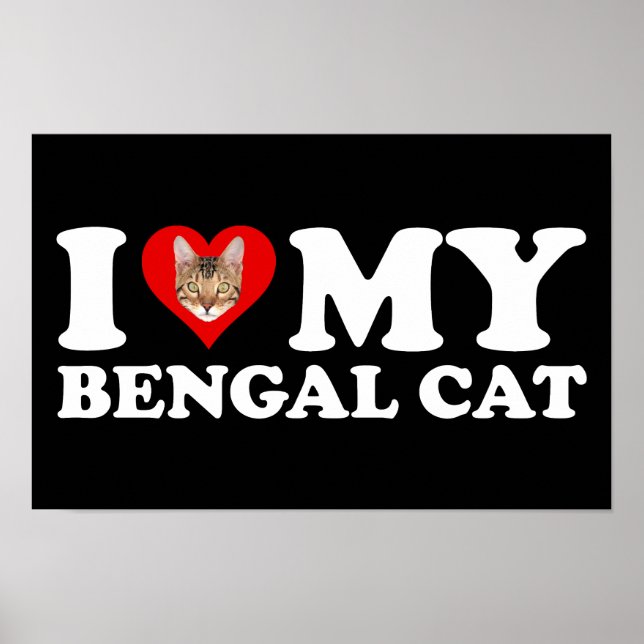 Poster I Love (Heart) My Bengal Cat (Frente)