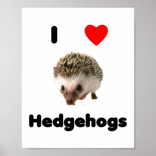Pôster I love hedgehogs (Frente)