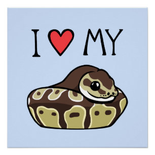 Pôster "I Love My Ball Python" Cobra Poster de desenho bo