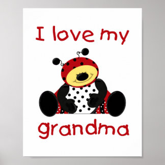 Pôster I love my grandma (boy ladybug)