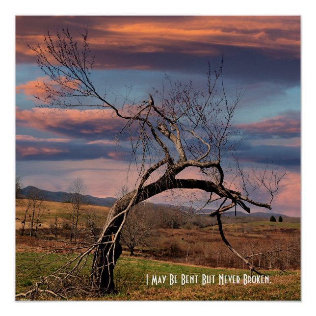 Pôster I May Be Bent But Never Broken  Poster (Frente)