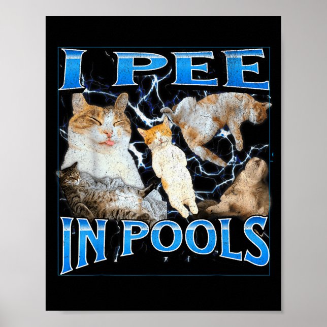 Poster I Pee In Ols Funny Offensive Cat Meme Bootleg Grap (Frente)