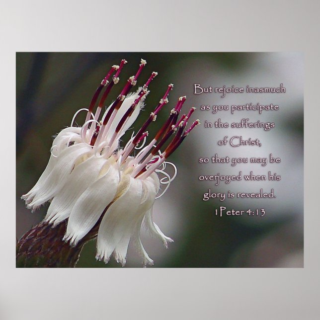 Poster I Peter 4:13 Inspirational Floral (Frente)
