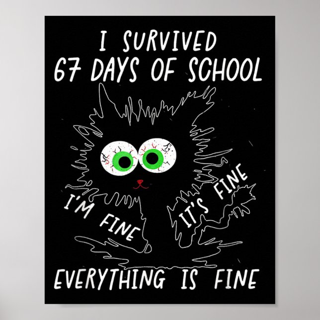 Poster I Survived 67 Days Of School Funny Six Seven  (Frente)