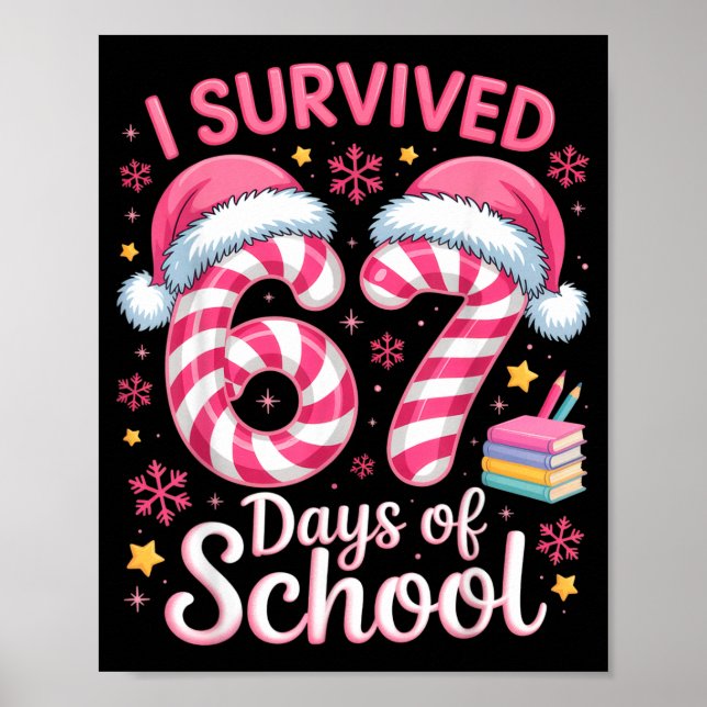 Poster I Survived 67 Days Of School Funny Student Winter  (Frente)