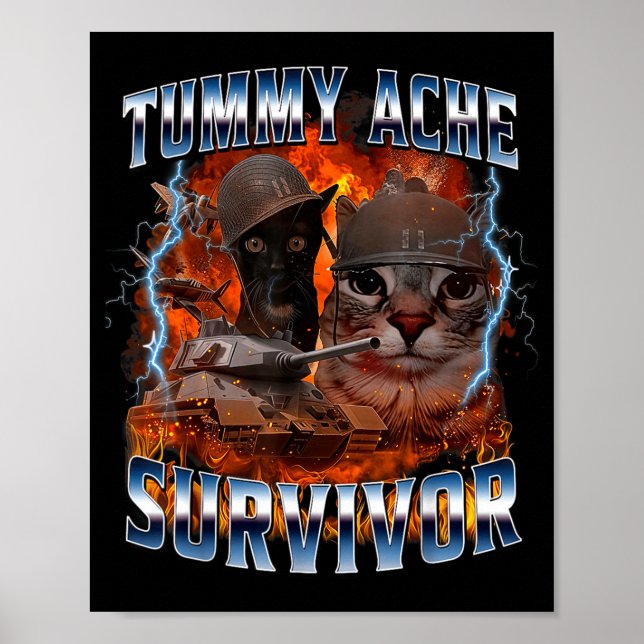 Poster I Survived Today's Tummy Ache Funny Silly Cat Meme (Frente)