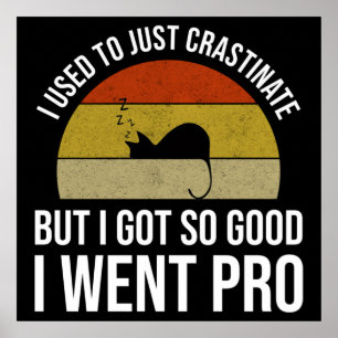 Poster I Used To Just Crastinate