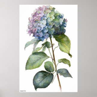 Poster IA gerou arte azul Hydrangea vintage wall art