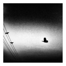 Ianiverse Noir (A Missão)