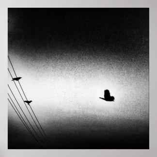 Pôster Ianiverse Noir (A Missão)