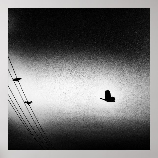 Pôster Ianiverse Noir (A Missão) (Frente)