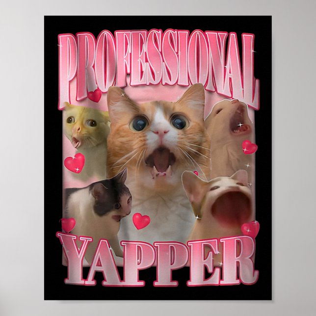 Poster Iapper Profissional - Cat Engraçada - Posição Espe (Frente)
