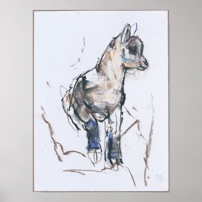 Pôster Ibex Kid (Frente)