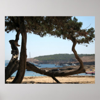 Pôster Ibiza Dreams