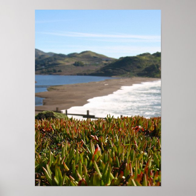 Poster Ice Plant, Beach, Waves (retrato) (Frente)