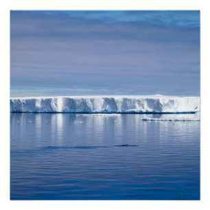 Pôster icebergue flutuante