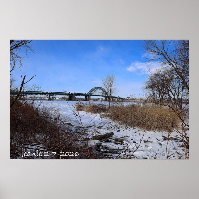 Poster Icey Delaware (Frente)