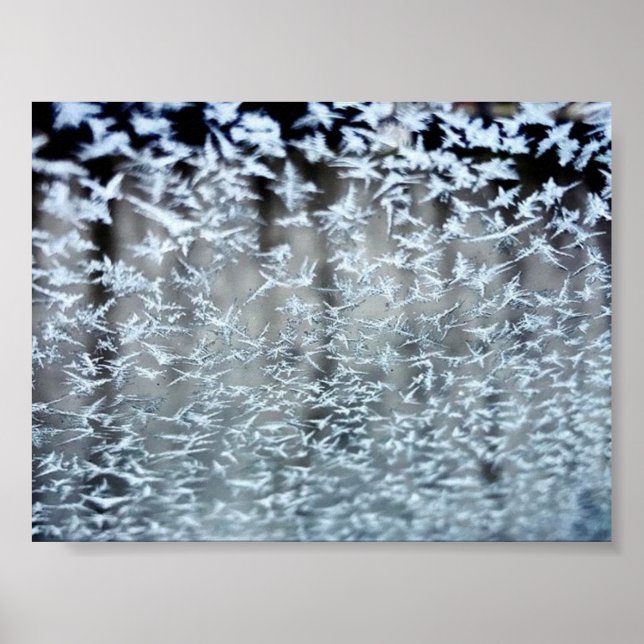 Poster Ícicles de inverno (Frente)