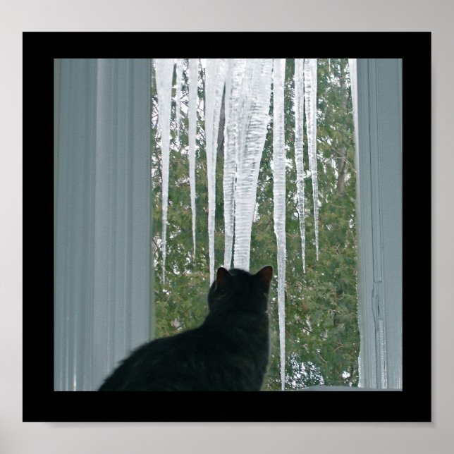 Pôster Ícicles de inverno (Frente)