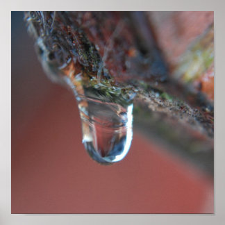 Pôster Ícone colorido