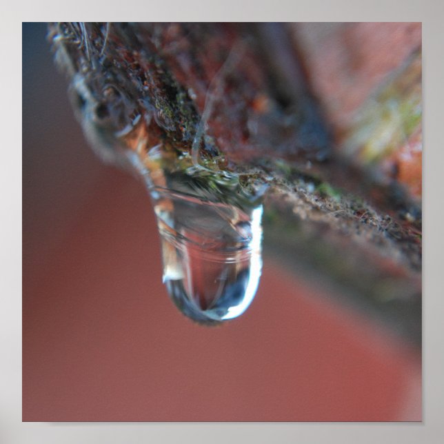 Pôster Ícone colorido (Frente)