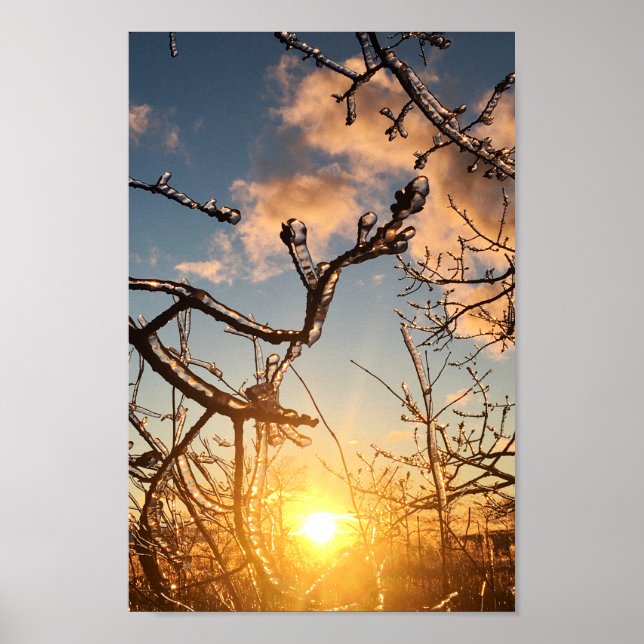 Poster ícones dos membros de árvore (Frente)