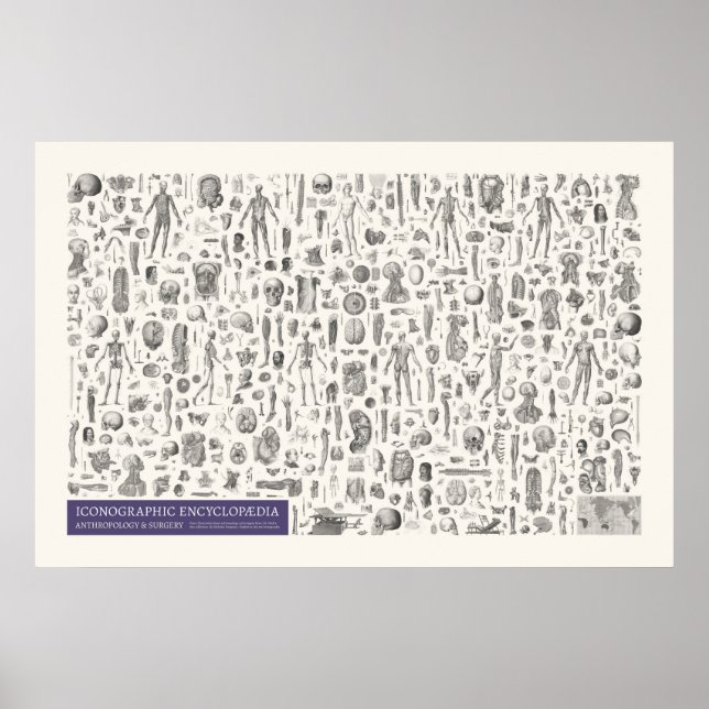 Poster Iconografia - Antropologia & Cirurgia (Frente)