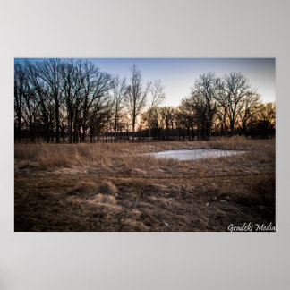 Poster Icy Primavera