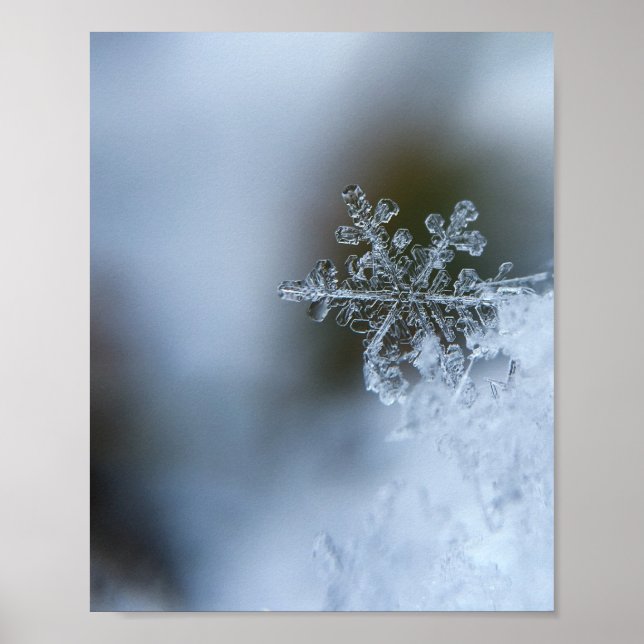 Poster Icy Snowflake (Frente)