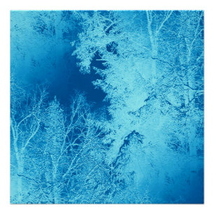 Pôster Icy Winter...