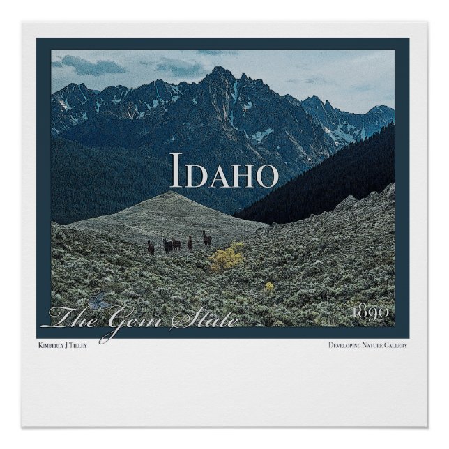 Pôster Idaho Poster Art (Frente)