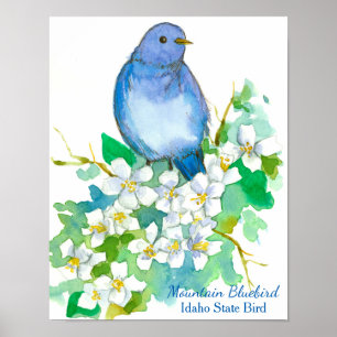 Pôster Idaho State Bird Mountain Bluebird