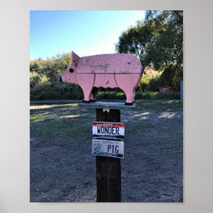 Poster Idaho Wonder Pig, Engraçado