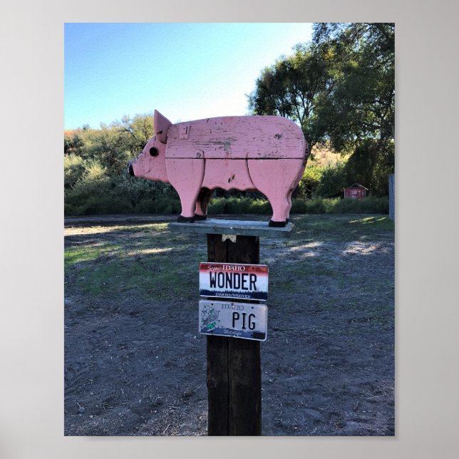 Poster Idaho Wonder Pig, Engraçado (Frente)