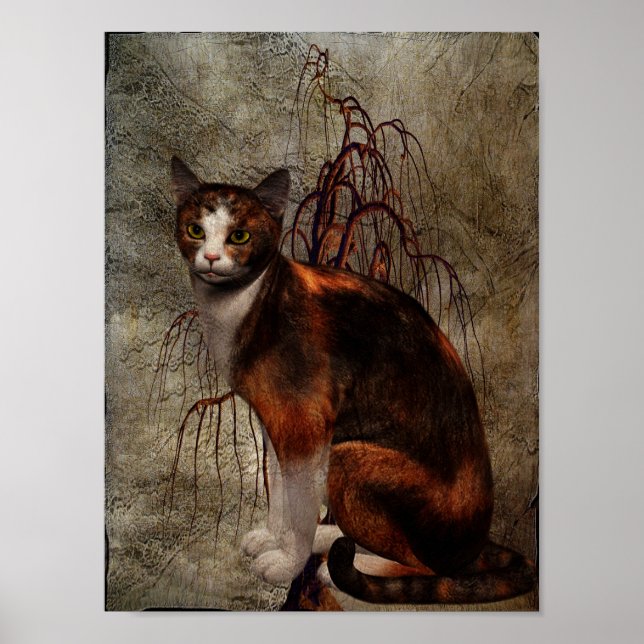 Pôster Ideal da Calma (Frente)