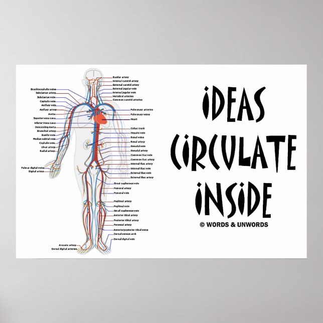 Pôster Ideas Circulate Inside (Circulatory System) (Frente)