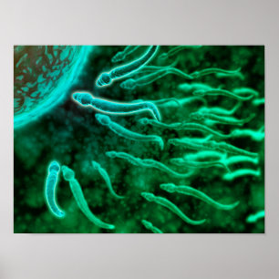 Pôster Ideia microscópica da natação do esperma para o