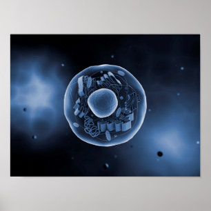 Poster Ideia microscópica da pilha animal 3