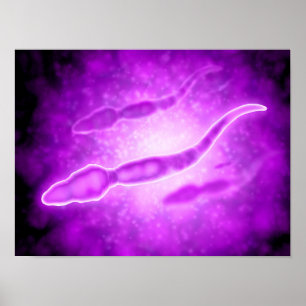 Pôster Ideia microscópica das pilhas de esperma