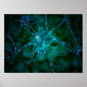 Pôster Ideia microscópica das pilhas de nervo múltiplas