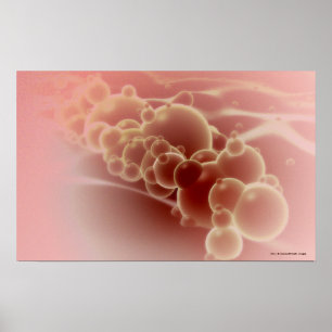 Pôster Ideia microscópica de microsfera do látex