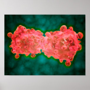 Poster Ideia microscópica de uma pilha da leucemia