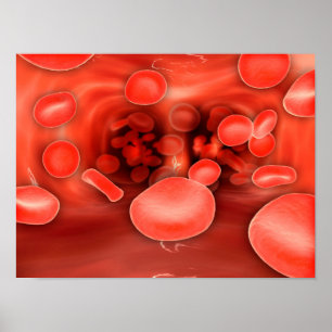 Poster Ideia microscópica do fluxo vermelho dos glóbulo