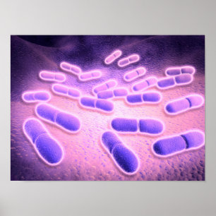 Pôster Ideia microscópica do Listeria Monocytogenes 2