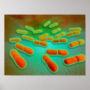 Poster Ideia microscópica do Listeria Monocytogenes 3