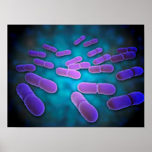 Pôster Ideia microscópica do Listeria Monocytogenes 5